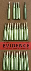 Assorted .270 Caliber Ammunition (25 Rounds)