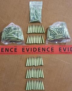 .22 Caliber Ammunition (Approx. 150 Rounds)