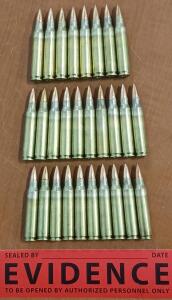 5.56 Ammunition (28 Rounds)