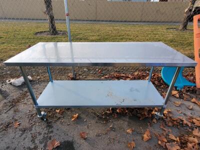 Stainless Steel Work Table, 60x30x35, 2 Shelves, Swivel Casters