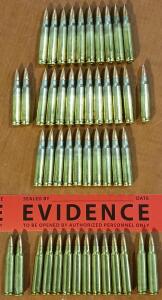 Assorted .223 Caliber Ammunition (46 Rounds)