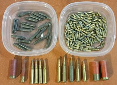 Assorted Ammunition: .22 Caliber & More!
