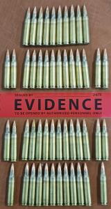 5.56 Ammunition (50 Rounds)