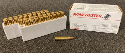 Winchester 22-250 REM-45 Grain - Jacketed Hollow Point (40 Rounds)
