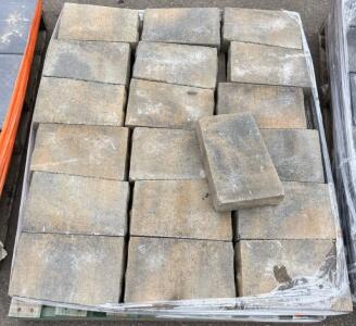 (19) Grey/Tan Curved Brick Pavers