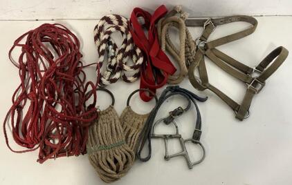 Horse Halter, Lead Ropes, Bit, Girth, Feed Bag & More