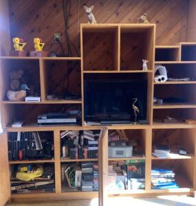 (OFFSITE) Magnavox 31&rdquo; Television/ Sony DVD/VHS Player/ Wii / and ALL Items on the Shelves - Shelving Unit NOT Included