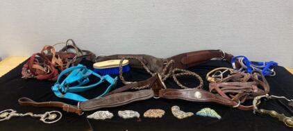 Leather and Heavy Strap Horse Tack Items with Some Bits