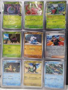 HUGE Binder of 160+ Pok&eacute;mon Card W/ Tons of Holos and Rares