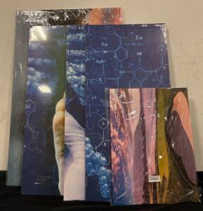 Wall Art Lot (1) Golf Course Canvas 28&rdquo;x44&rdquo;, (1) 3 Piece Leaves In Test Tubes Canvases 20&rdquo;x40&rdquo;, (1) Pebble Beach Canvas 18&rdquo;x24&rdquo;