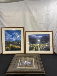 Scenic Framed Art Prints Collection, Includes Two Large Landscape Photos