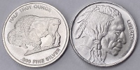 (2) Half Troy Ounce .999 Fine Silver Liberty Rounds