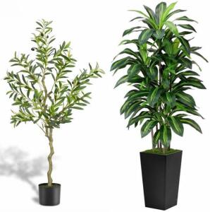 5Ft Artificial Dracaena Tree & 4Ft Artificial Olive Tree W/ String Lights