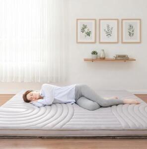 Queen Futon Mattress