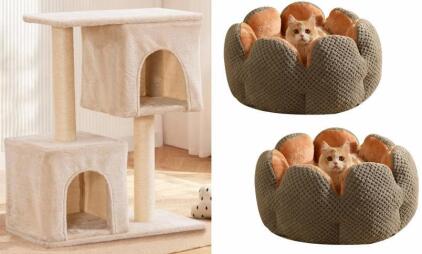 28&rdquo; Cat Condo Tower & (2) Cat Beds