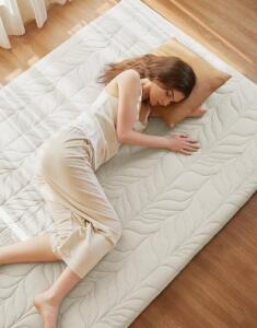 ZonLi Japanese Floor Futon Mattress