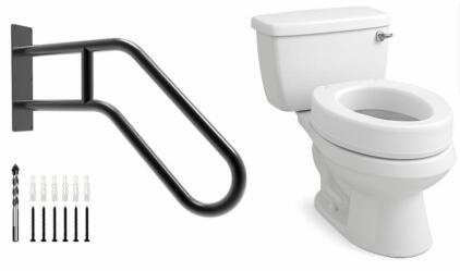 Carex Toilet Seat Riser & Support Handrail For Steps
