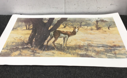 Dino Paravano Signed Numbered &ldquo;Springbok&rdquo; 1978 Print