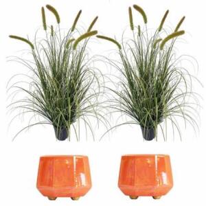 (2) 4Ft Artificial Grass Plants & (2) 8&rdquo; Orange Ceramic Planters