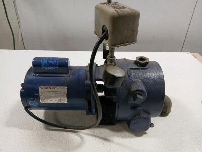 Wagner 1/2 HP Single Phase Motor & Jacuzzi Jet Pump Assembly 115/220V, Model 8-117010-31