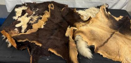Mixed Lot Hair-On Goat & Sheep Hides | Multi-Color | Approx. 40" x 30" Each | Craft or Rug Use