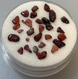 12.40cts Natural Tumbled An Polished Idaho Star Garnets