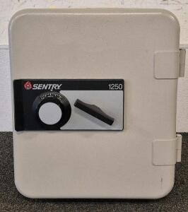 SentrySafe Medium Gray Fireproof Safe and Waterproof Safe Box with Dial Combination, Home Security for Money, Documents, or other Valuables