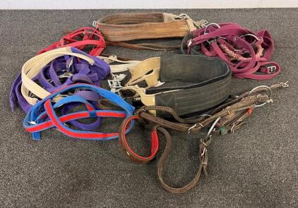 Assorted Horse Tack Lot&mdash;Leather & Nylon Surcingles, Headstalls, Halters, Metal Buckles, Full Size