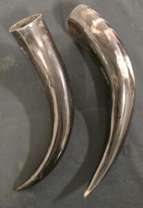 (2) "Drinking Horns"- Both Approximately 10-10.5"
