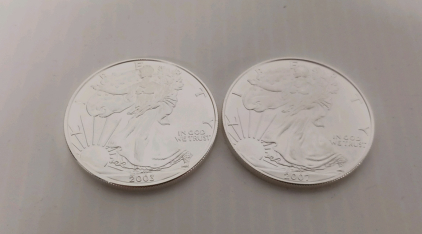 (2) 1oz Fine Silver Liberty Round