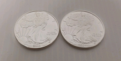 (2) 1oz Fine Silver Liberty Round