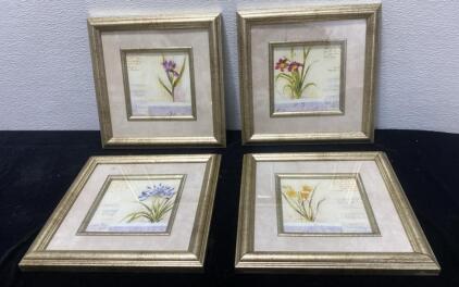 Framed Flower Art (4) 12x12 ( Great Condition)