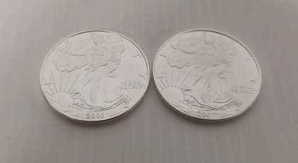 (2) 1oz Fine Silver Liberty Round