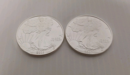 (2) 1oz Fine Silver Liberty Round