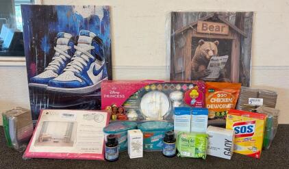 Home Starter Kit!! Including 2 Painted Wall Canvas&rsquo;, (1) Princess Painting Kit, S.O.S Sterl Wool Pads, And So Much More!!