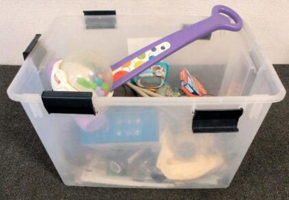 Mixed Lot - Clewenwils Yard Timer, Miracle-Gro, Terro, Glass Globes, Storage Tote Included