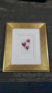" Shooting Stars" By: Susanne Techtract Limited Edition LIthograph 54/100 Framed 10.75"x12"