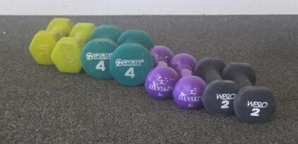 Assorted Dumbbell Set 2-5 lb, Neoprene & Vinyl Coated, Sports Authority, Weslo, Danskin Brands