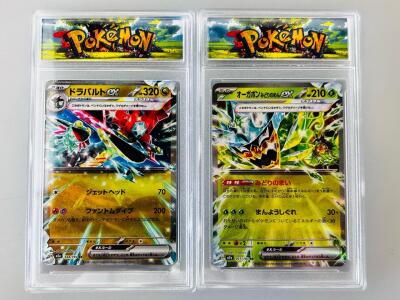 Dragapult eX 134/193 & Ogerpon Teal Mask eX 017/193 Japanese Scarlet & Violet RR Holo Cards