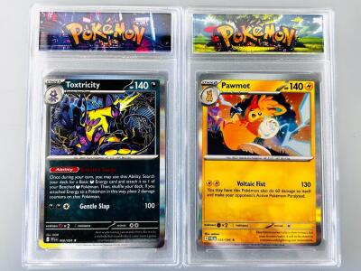 Pawmot 034/094 & Toxtricity 068/094 Temporal Forces 2025 Holo Pok&eacute;mon Cards in Display Cases