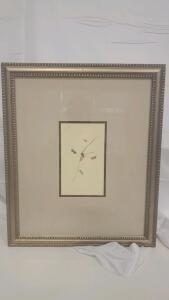 Hand-Numbered Botanical Entomology Limited Edition Print 262/355 in Silver Frame 24"x28"