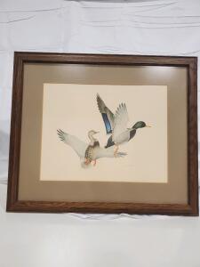 Hand-Signed Michael Warren Mallard Ducks in Flight Framed Print 30"x24", Wood Frame, Double Matted