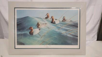 1989 The Singing Winds By Ron Van Gliders Duck Picture 31"x22"