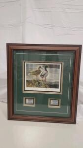 19"x17" 1985 Canadian Duck Stamp Picture By Robert Bateman Signed