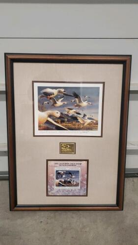 1995 California Duck Stamp Picture By Robert Steiner 18"x24.25" With COA 42/350