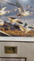 1995 California Duck Stamp Picture By Robert Steiner 18"x24.25" With COA 42/350 - 3