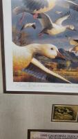 1995 California Duck Stamp Picture By Robert Steiner 18"x24.25" With COA 42/350 - 4