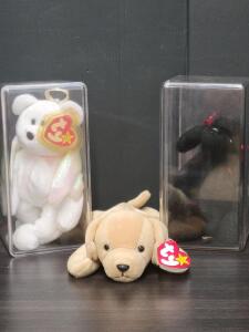 (3) TY Beanie Babies! Bear Beanie Baby in a Plastic Display Box&mdash;Style Number 4208, Tag in Plastic, GiGi the Poodle in a Plastic Display Box&mdash;Style Number 4191, & Fetch the Dog