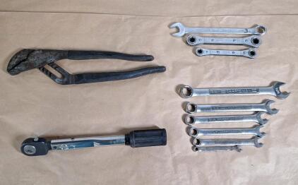 (1) PLP 3/8" Drive Torque Wrench, 40-200 InLbs, (1) Pair Of Slip Joint Pliers & (9) Assorted Box End Wrenches