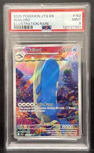 2025 Pok&eacute;mon Wailord Illustration Rare #162/159 PSA 9 Mint, Twilight Masquerade, English